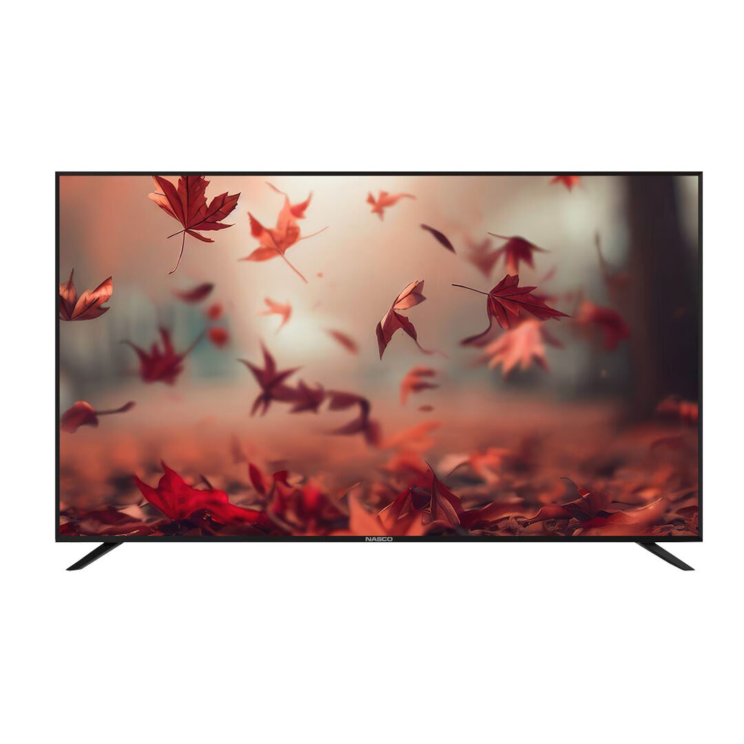 Nasco 40 Smart TV